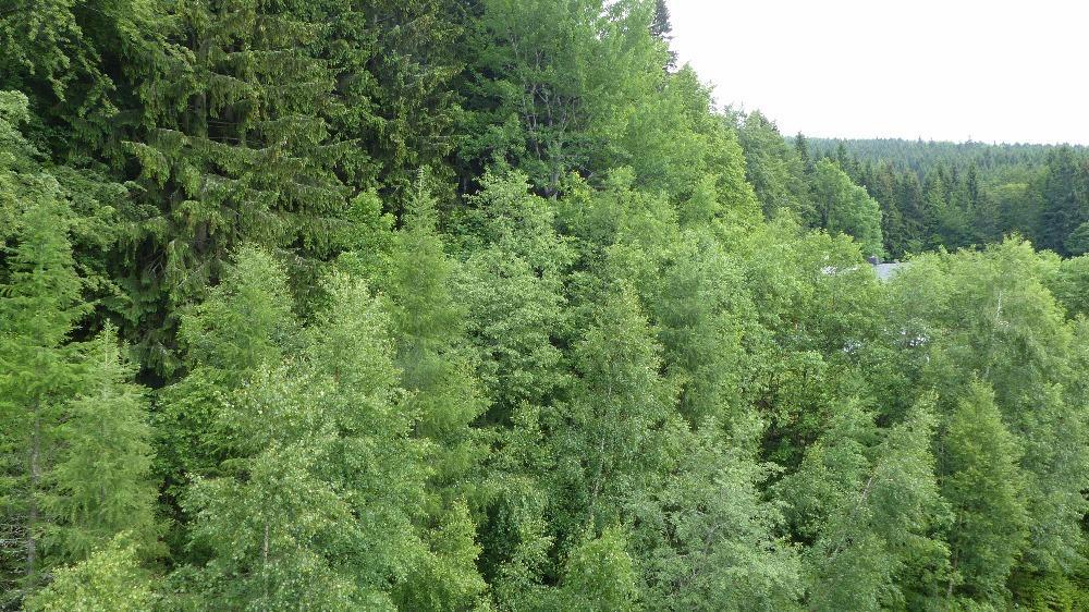 Apartman Bedrichov, Špindlerŭv Mlýn المظهر الخارجي الصورة